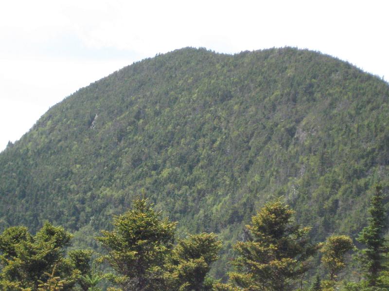 GooseEye-d (21).JPG - On our way down we found a spot that had a good view of Goose Eye. You can see the ladder on the Carlo Col trail on the left side of the mountain. That looks like a very steep trail.